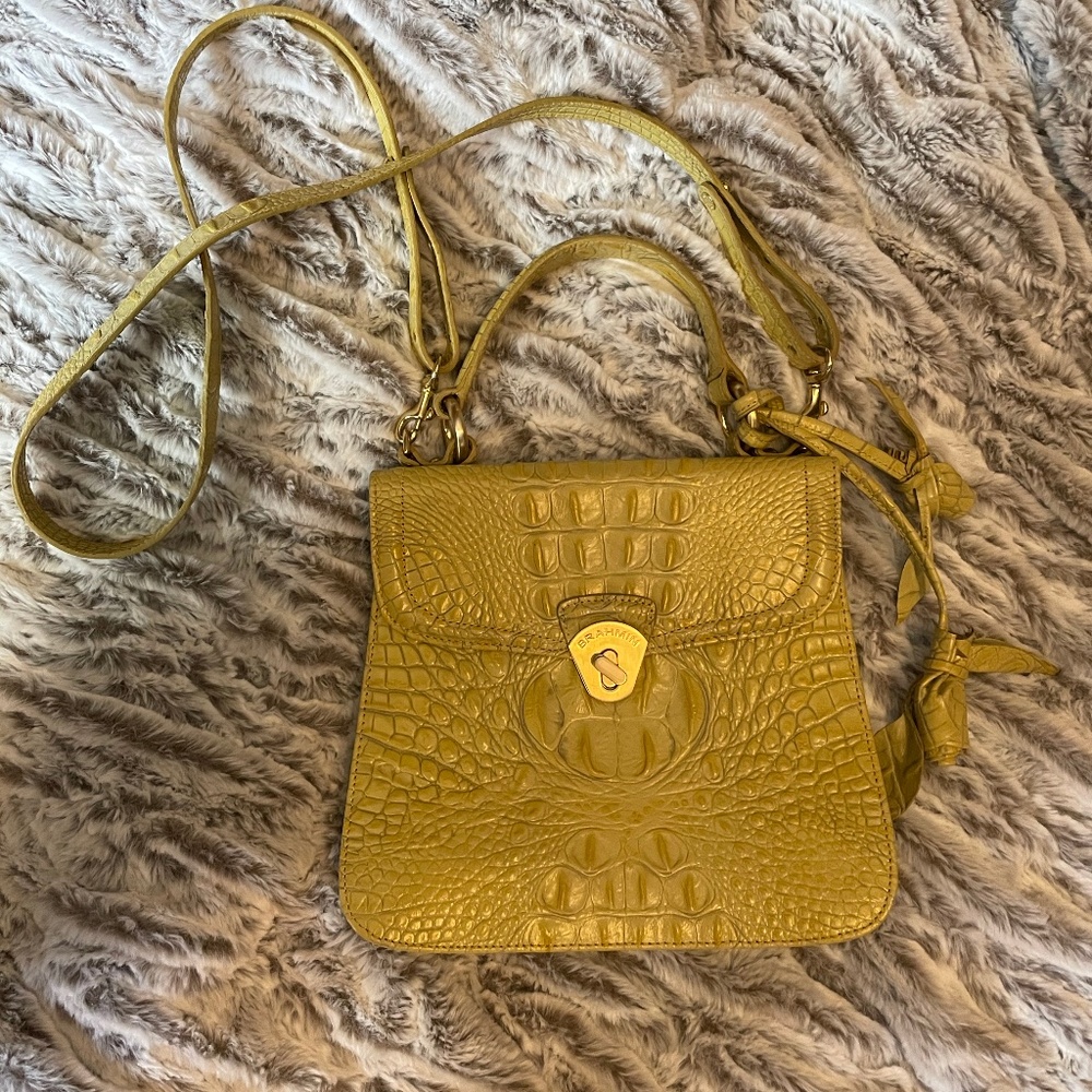 Chartruse Brahmin purse